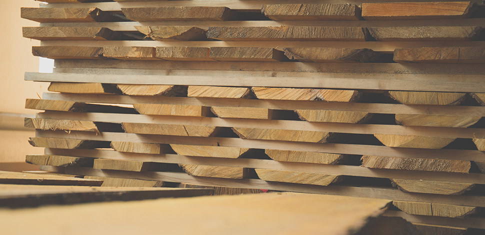 Holztrocknung 4