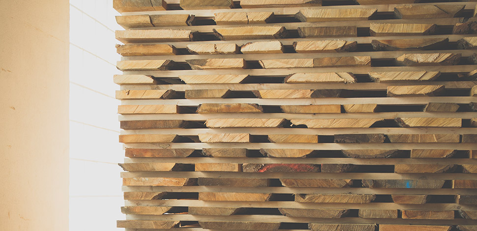 Holztrocknung 2